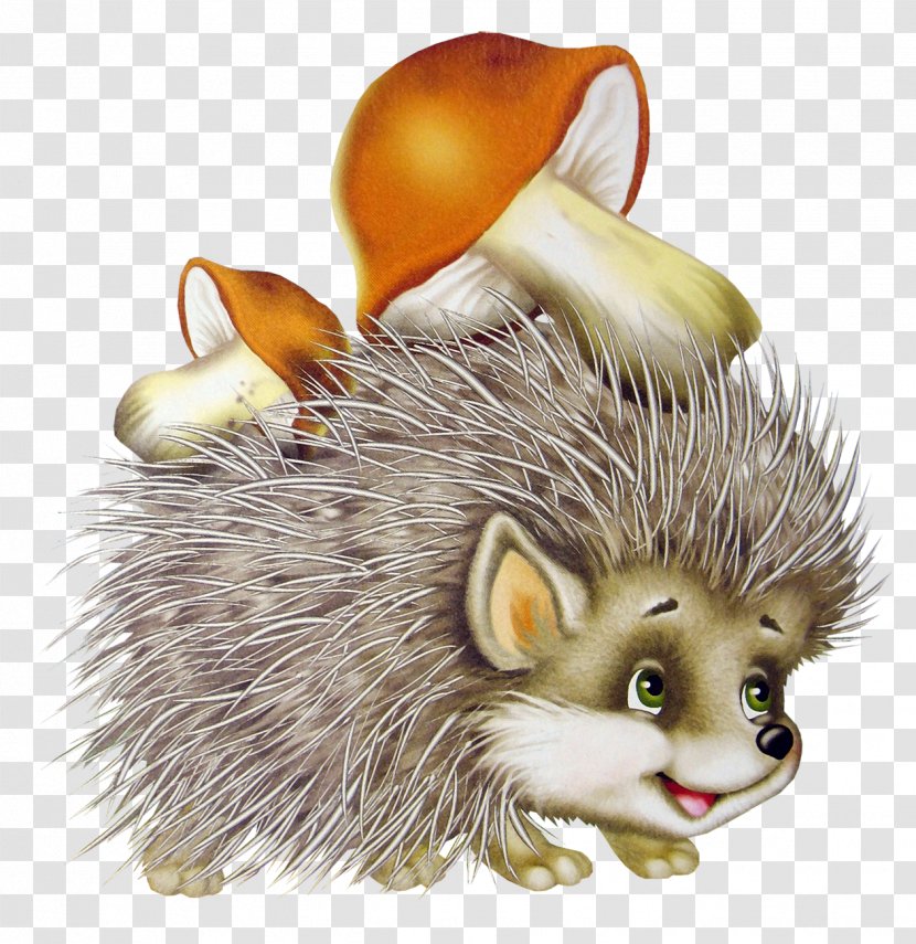 Southern White-breasted Hedgehog Drawing Clip Art - Fauna Transparent PNG