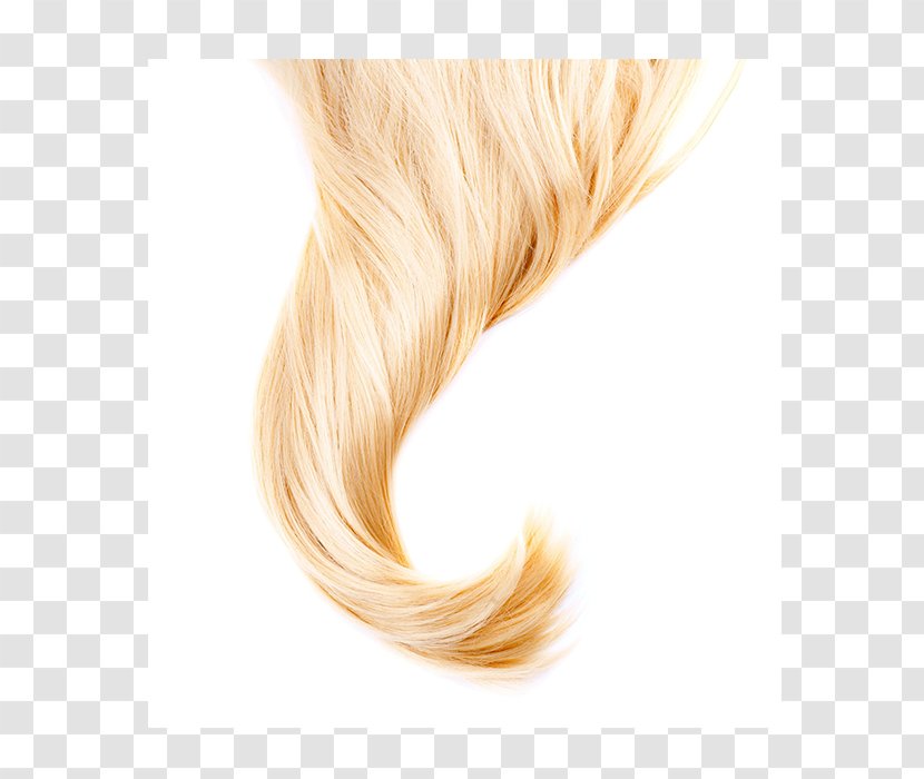 Stock Photography Hair Scalp Blond Transparent PNG