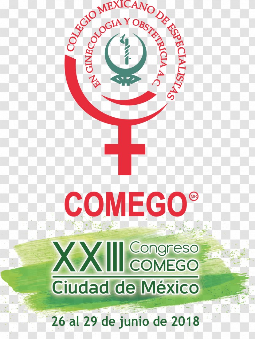 Obstetrics And Gynaecology Maternal–fetal Medicine Physician - Congreso Transparent PNG