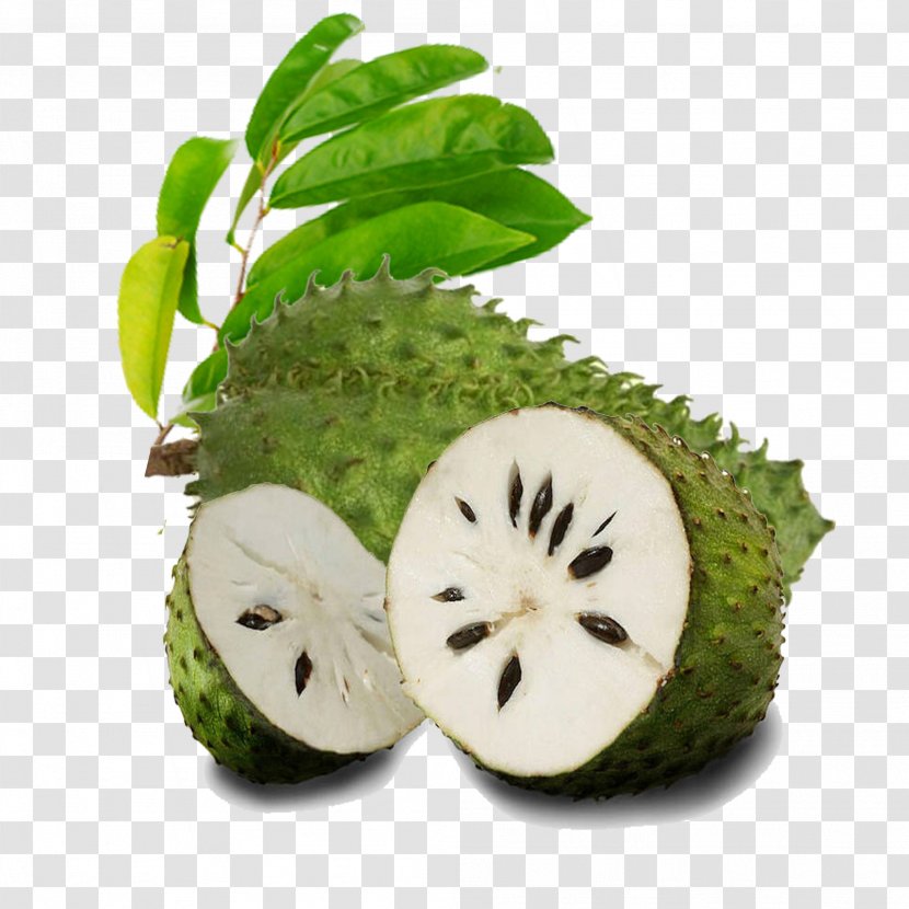 Juice Organic Food Soursop Tropical Fruit - Durian Transparent PNG