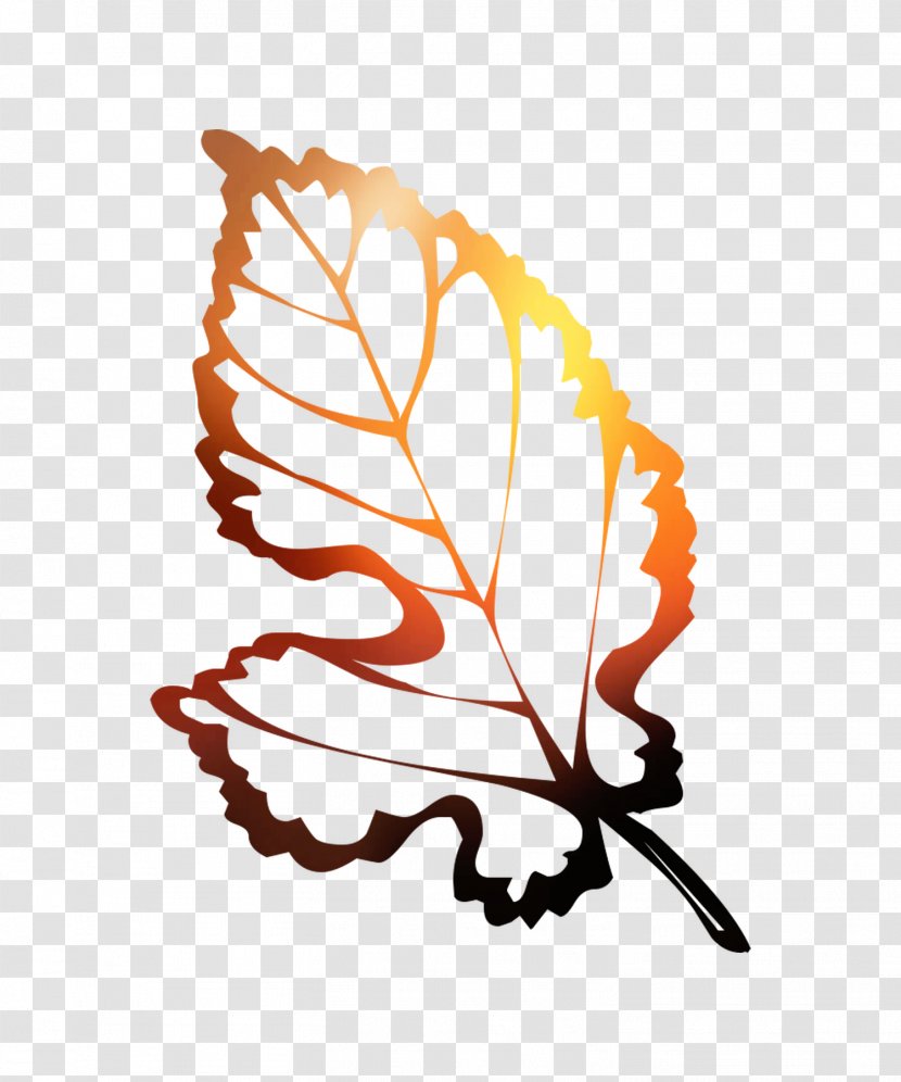 Illustration Autumn Coloring Book Leaf - Wing - Orange Transparent PNG