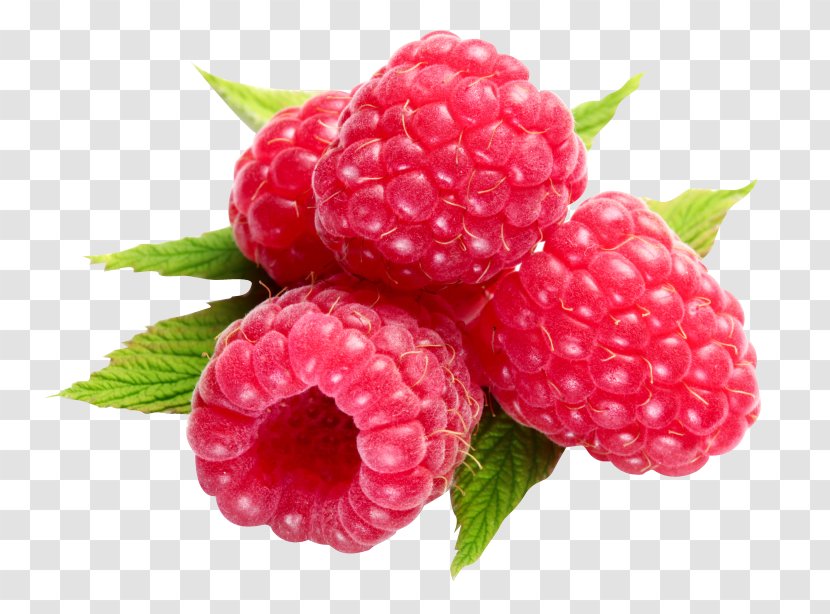 Raspberry Ketone Red Frozen Yogurt Food - Flower - Frambuesa Transparent PNG