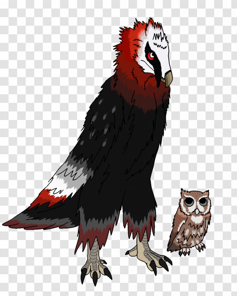 Eagle Owl Beak Character Feather - Vertebrate - Eastern Screech Transparent PNG