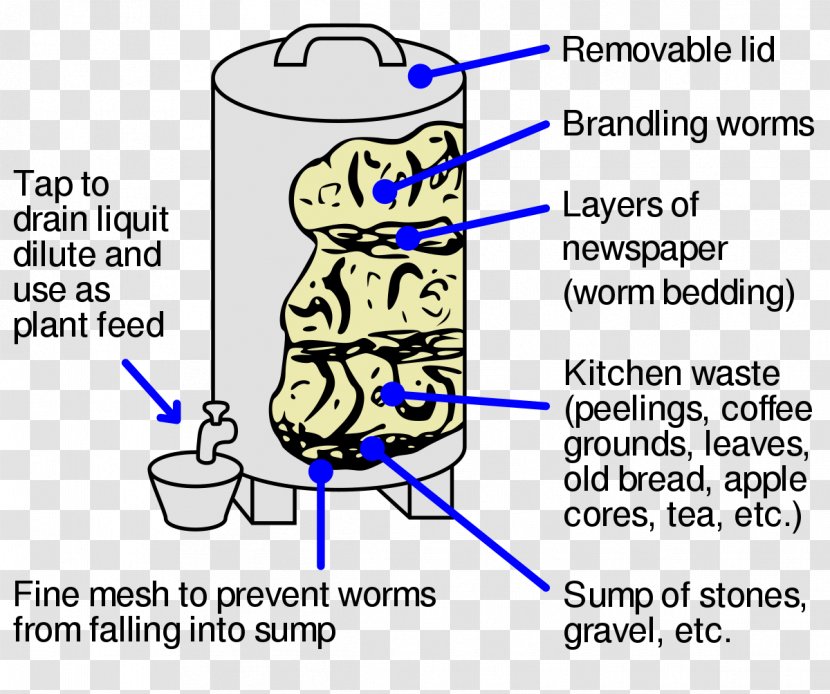 Worm Eisenia Fetida Vermicompost University Of Wisconsin–La Crosse Animal - Frame Transparent PNG