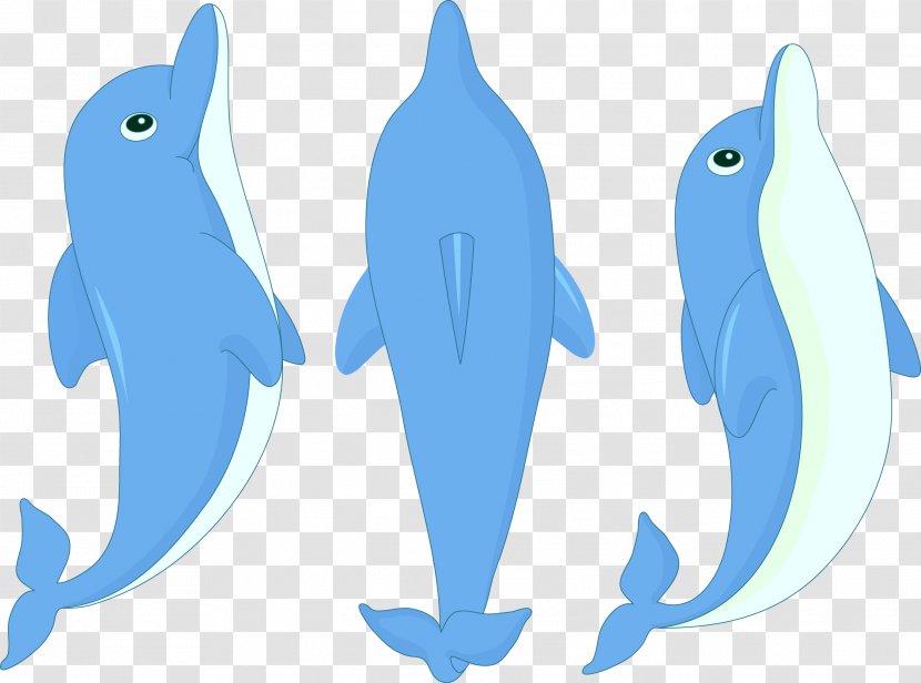 Dolphin Cartoon Clip Art Transparent PNG