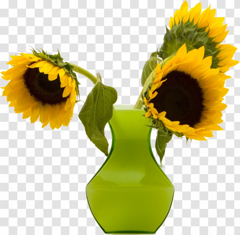 Common Sunflower Vase - Avatar Transparent PNG