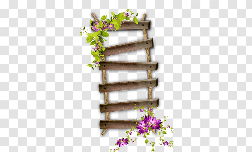Ladder Stairs Photography Clip Art - Flora - Flowers Transparent PNG