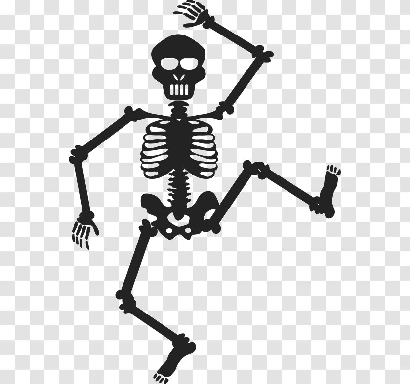 Skeleton Clip Art - Dance Transparent PNG