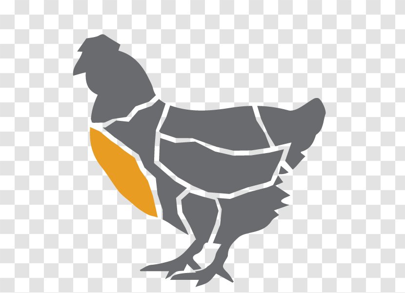Rooster Cochin Chicken Cornish Pekin Marans - Duck Transparent PNG