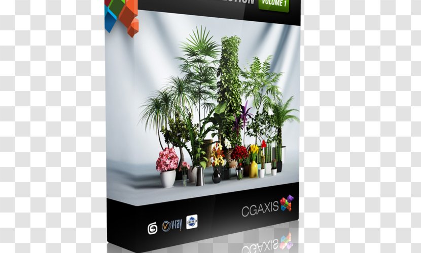 3D Modeling Computer Graphics Cinema 4D TurboSquid CGTrader - Plant - Autodesk 3ds Max Transparent PNG