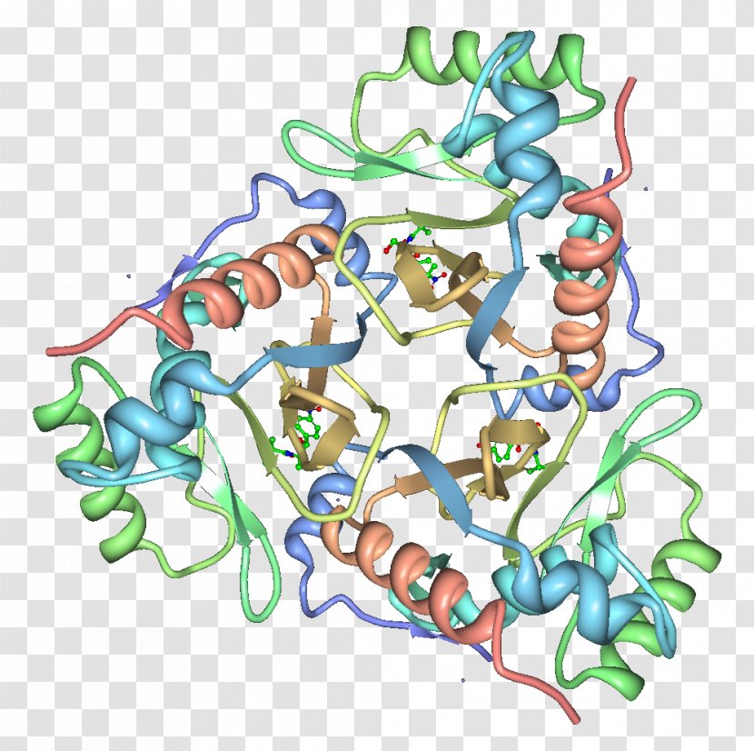 Chloramphenicol Acetyltransferase Martindale: The Complete Drug Reference Enzyme - Flower - Frame Transparent PNG