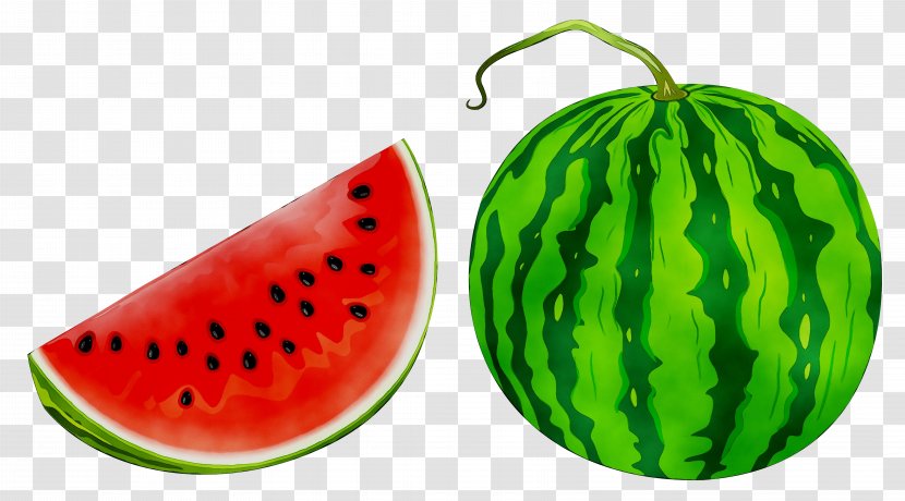 Clip Art Fruit Illustration Watermelon - Melon - Accessory Transparent PNG