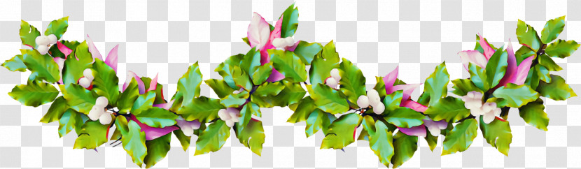 Christmas Holly Ilex Holly Transparent PNG