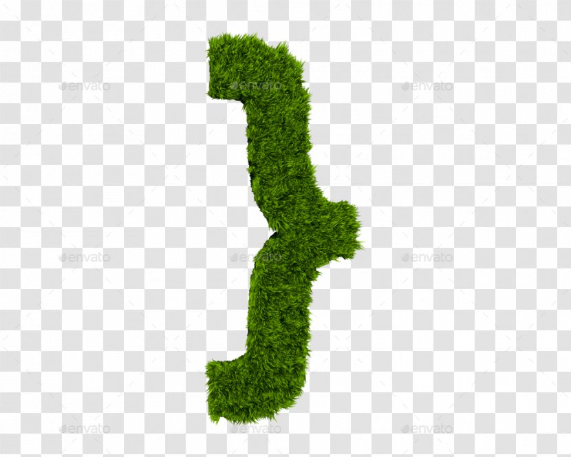 Letter Case 3D Computer Graphics Leaf Font - Tree - Grass Letters Transparent PNG