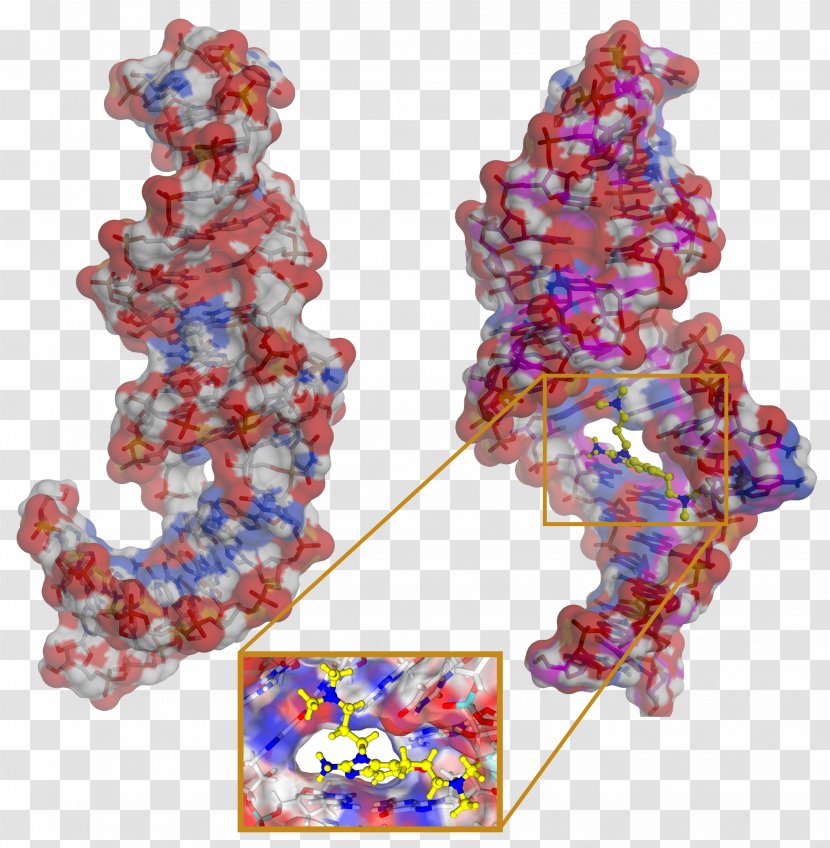 Body Jewellery RNA Virus Hepatitis C - Jewelry - Ribonucleic Acid Transparent PNG