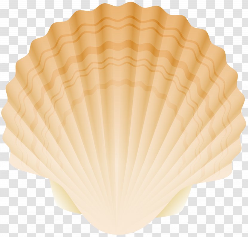 Cockle Oyster Clam Mussel Bivalvia - Seashell Transparent PNG