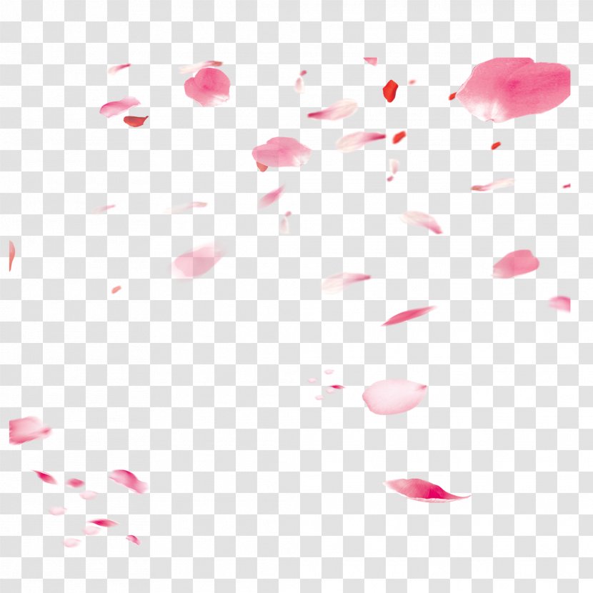 Petal Pink Download - Color - Design Elements Of Fluttered Cherry Blossom Petals Transparent PNG