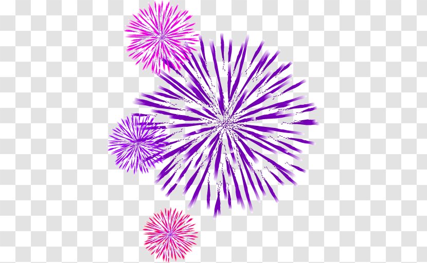 Fireworks - Violet - Firecracker Transparent PNG