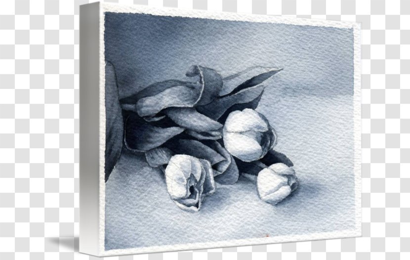 Still Life Photography Flower Picture Frames - Painting Transparent PNG