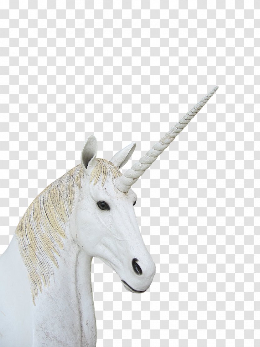 Unicorn Neck - Horn Transparent PNG