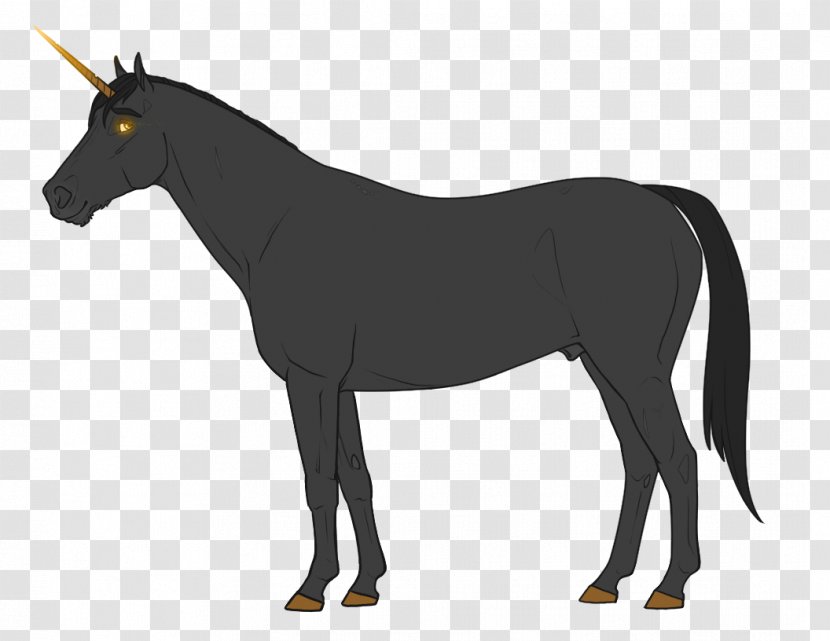 Thoroughbred Arabian Horse Stallion Mare Draft - Harness - Benevolence Frame Transparent PNG