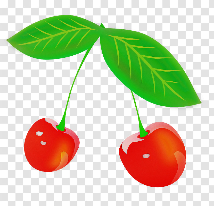 Cherry Cherry Pie Fruit Fruit Logo Transparent PNG