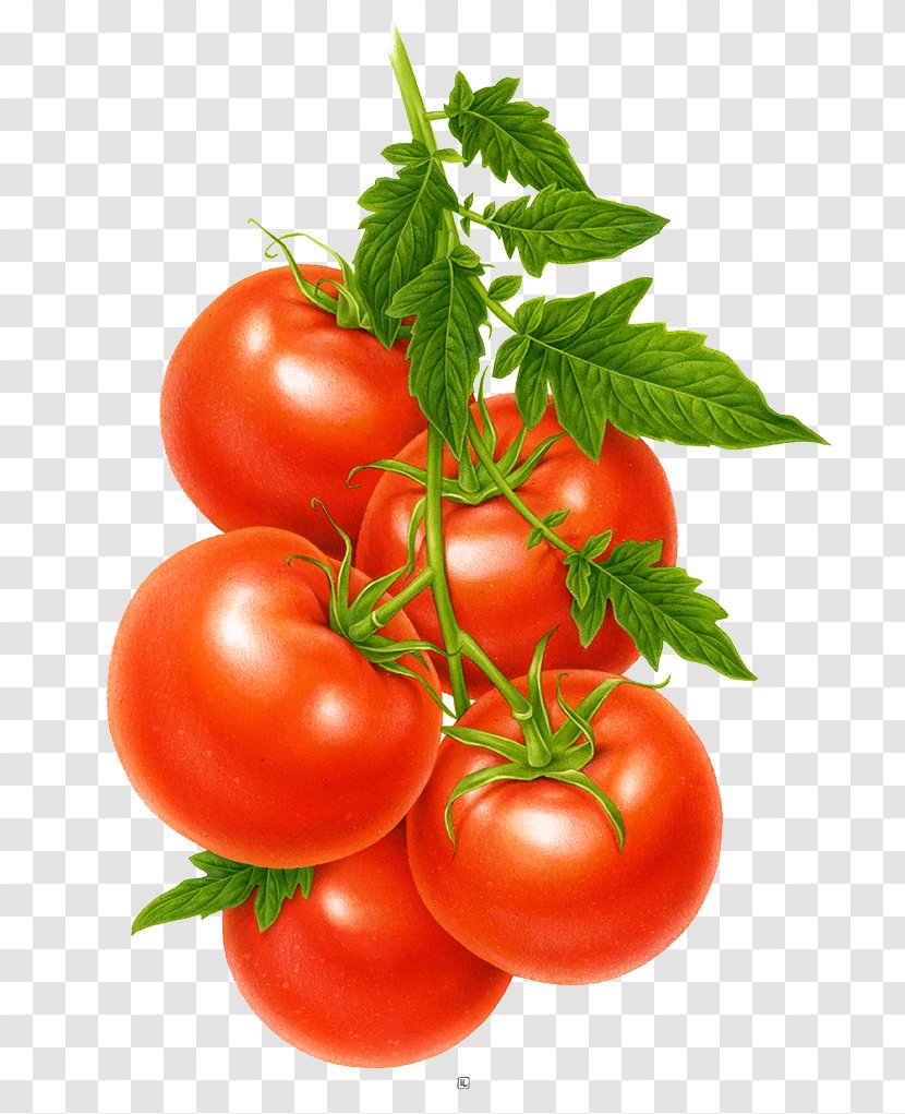 Tomato Juice Cherry Fruit Vegetable - Superfood - A Bunch Of Tomatoes Transparent PNG