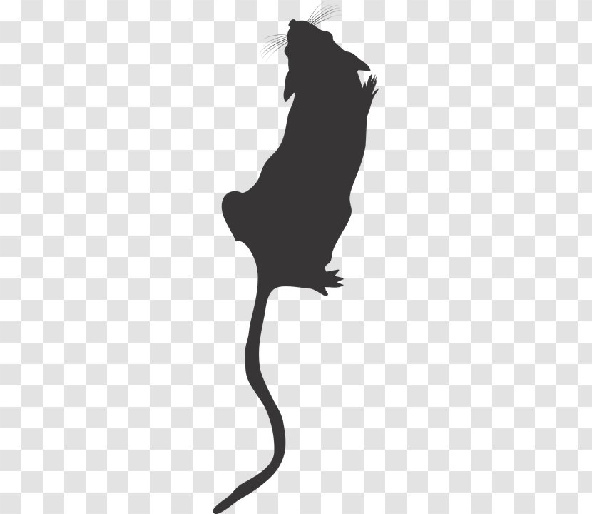 Cat Mouse Rat Rodent Clip Art - Silhouette Transparent PNG