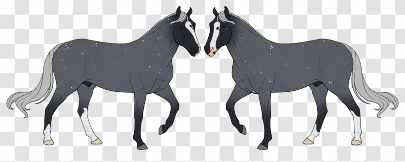 Mule Foal Mustang Stallion Colt - Donkey Transparent PNG