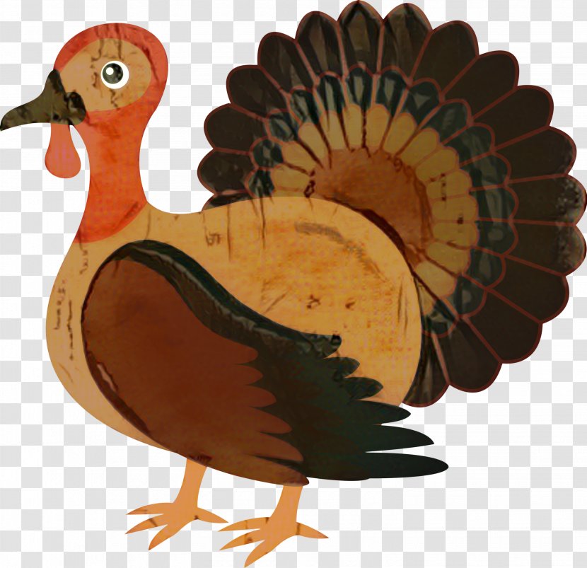 Clip Art Turkey Meat Thanksgiving Vector Graphics - Beak Transparent PNG