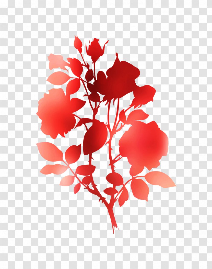 Floral Design Cut Flowers Rose Family - Botany Transparent PNG