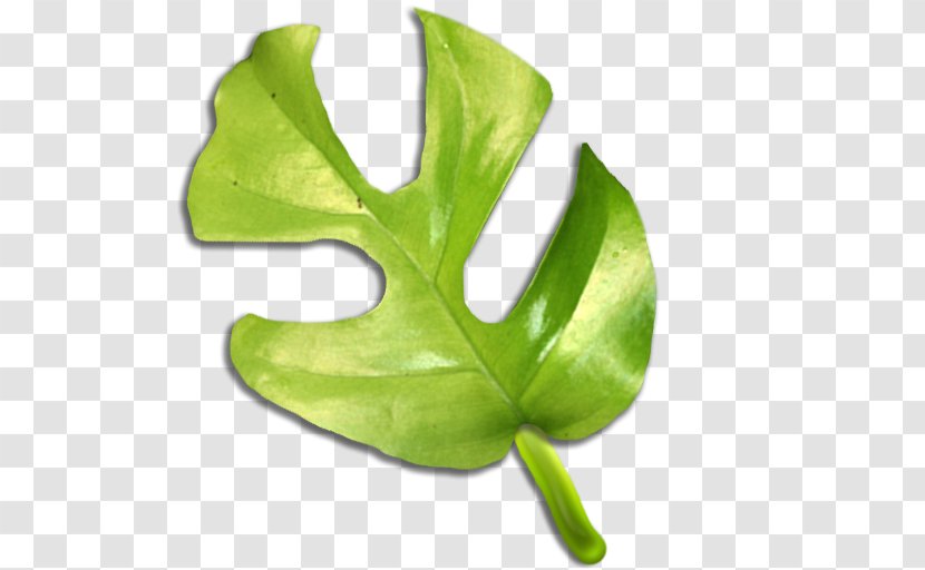 Leaf Plant Stem - Military Tag Transparent PNG
