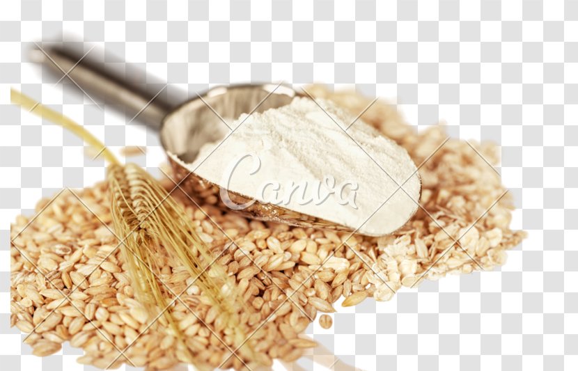 Wheat Flour Cereal Tea - Royaltyfree - Barley Transparent PNG
