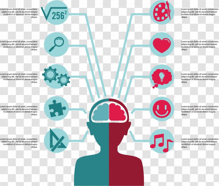 Brain Infographic Euclidean Vector Icon - Heart - Left And Right Controls The Partition Transparent PNG