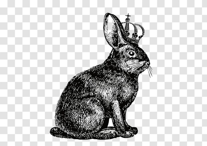 Hare Rabbit Show Jumping Drawing - Black And White - Crown Transparent PNG
