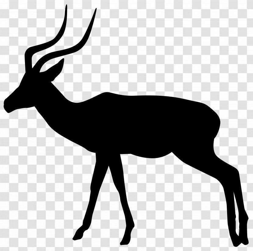 Gazelle Silhouette Impala Clip Art - Mammal - Transparent Image Transparent PNG