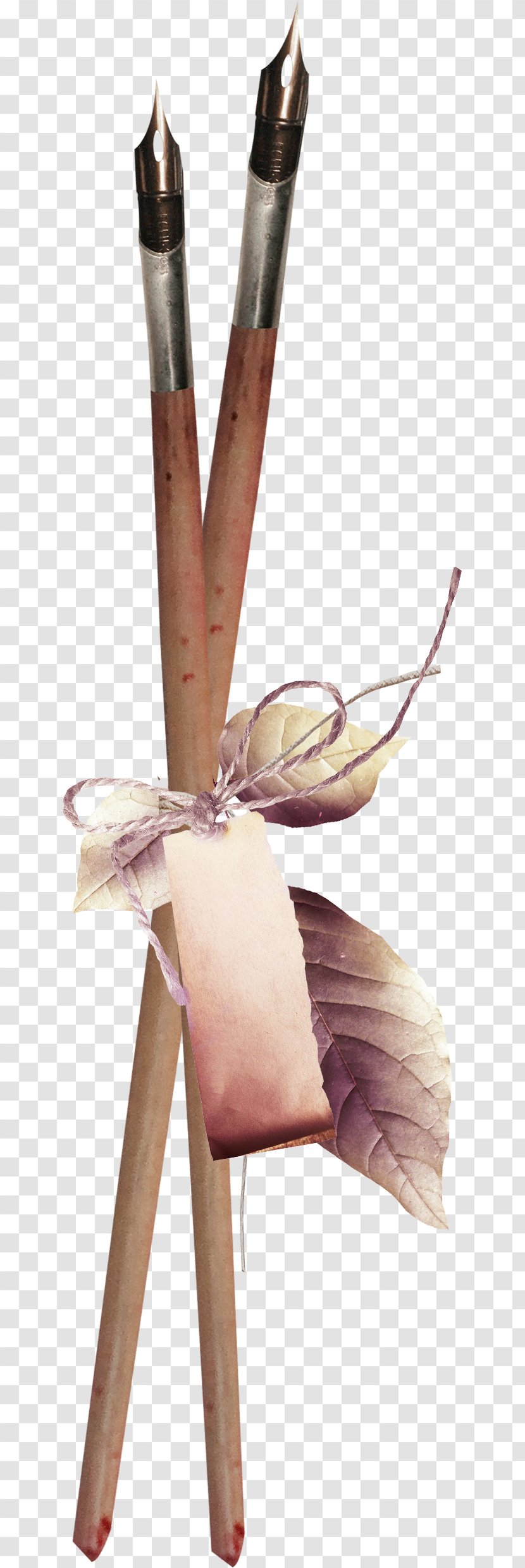 Paper Material - Document - Rope Leaves Pen Transparent PNG
