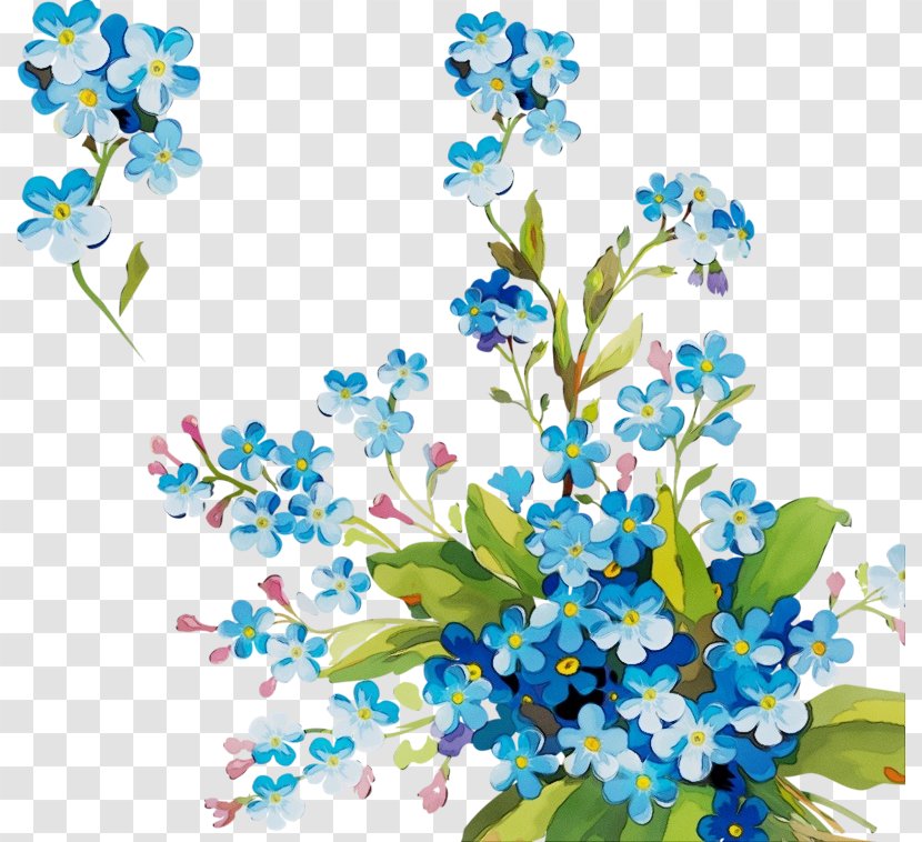 Alpine Forget-me-not Flower Blue Plant - Paint - Wildflower Branch Transparent PNG