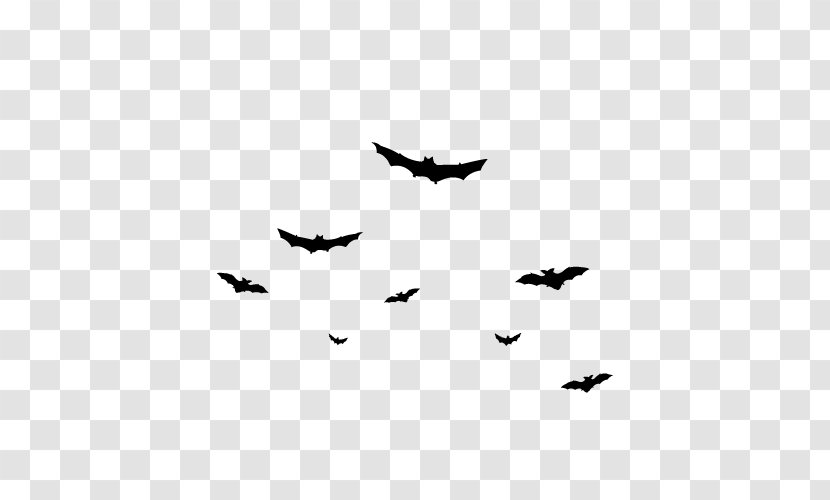 Bat Halloween Flight Cartoon - Monochrome - Floating Transparent PNG