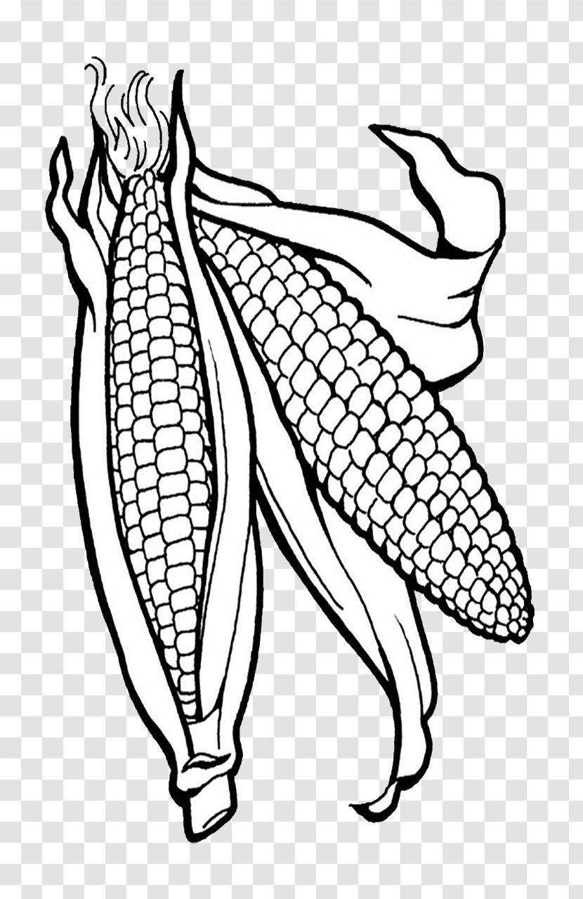 Corn On The Cob Coloring Book Candy Maize Popcorn - Wing Transparent PNG