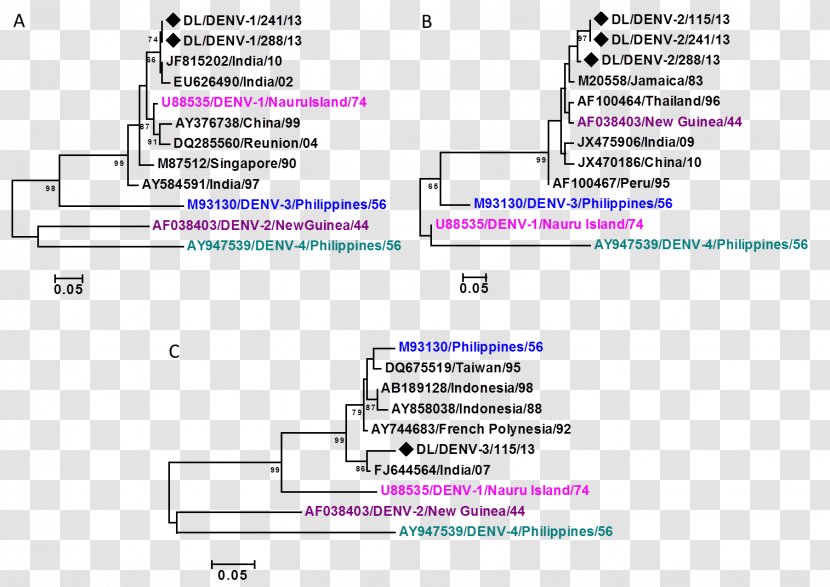 Strain Phylogenetics Dengue Virus Virology Mutation - Text - Serotype Transparent PNG