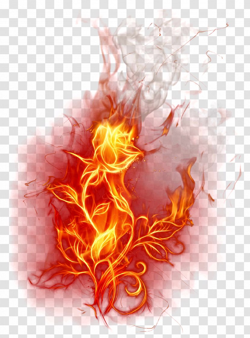 Flame Fire Combustion Wallpaper - Watercolor - Burning Rose Transparent PNG