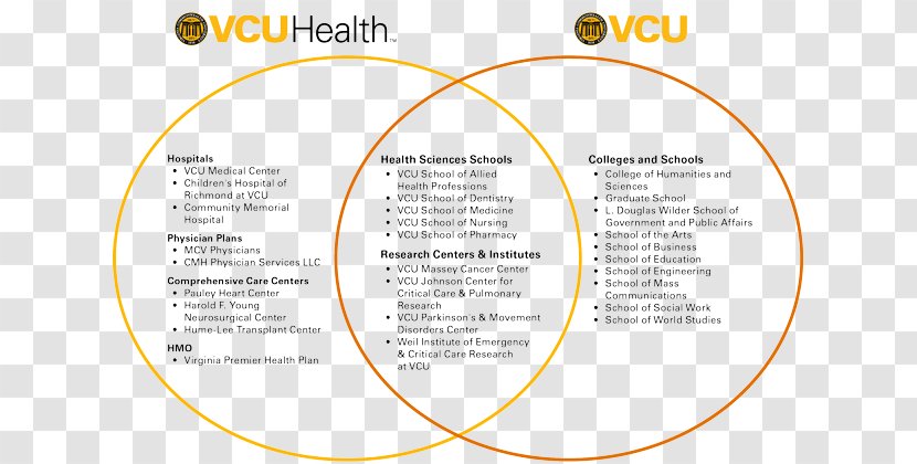 Virginia Commonwealth University Health Medicine Organization School Of Nursing Hospital - Organizational Chart - Care Compliance Auditor Transparent PNG
