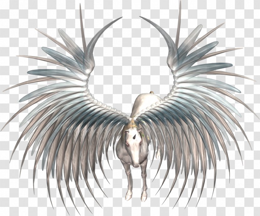 Blog Desktop Wallpaper TinyPic - Avatar - Unicorns Transparent PNG