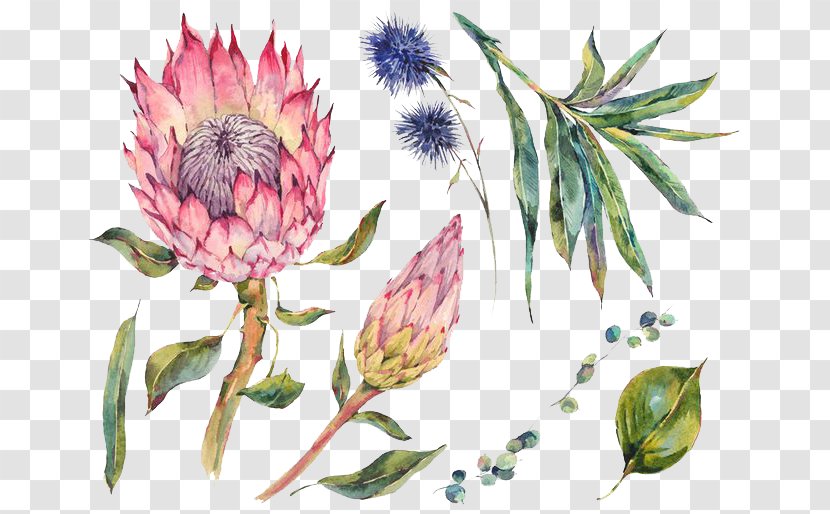 Watercolor Painting Stock Photography - Floral Design - Flowers Transparent PNG