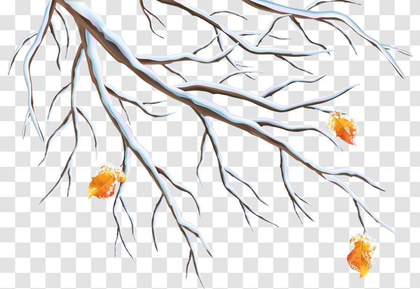 Winter Branch Clip Art - Flower - Tree Branches Transparent PNG