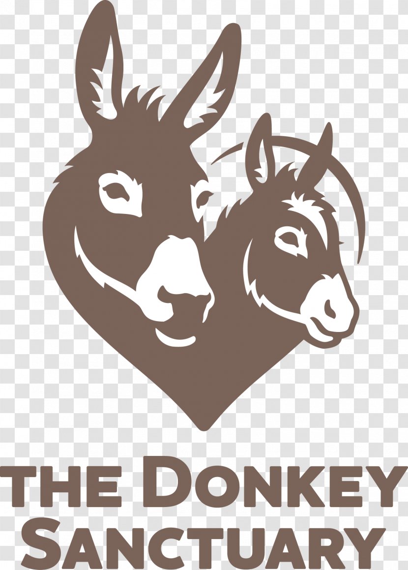 The Donkey Sanctuary Devon Horse Sidmouth Animal Transparent PNG