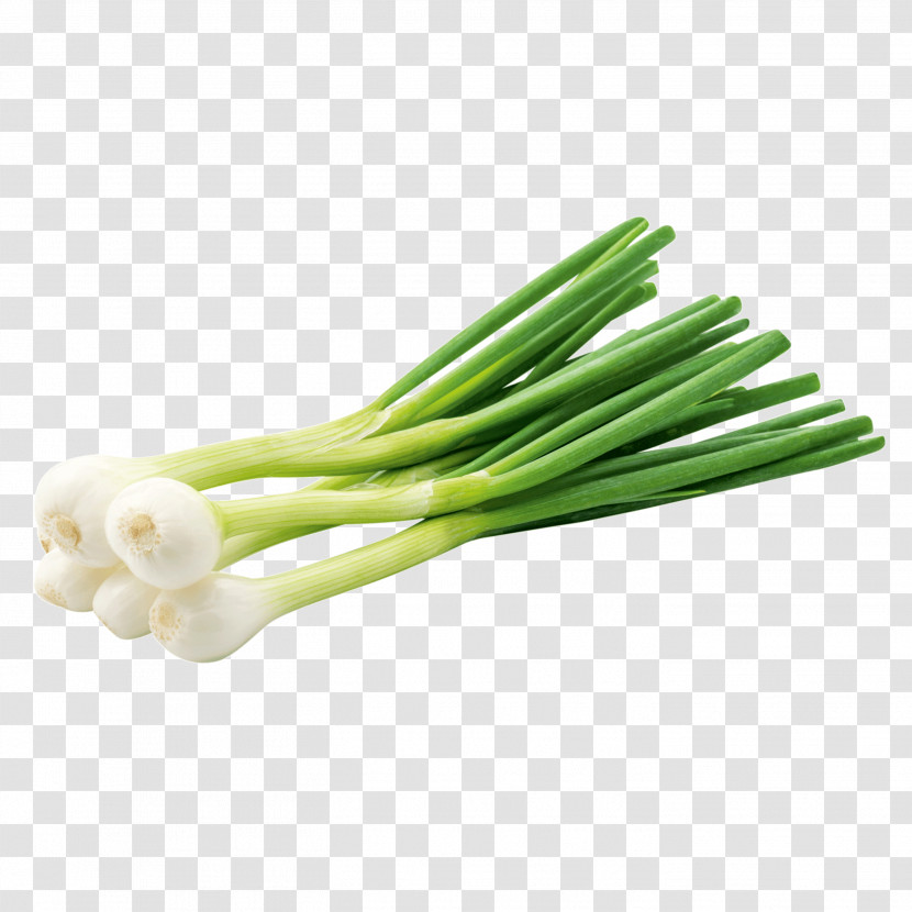 Vegetable Welsh Onion Leek Scallion Food Transparent PNG