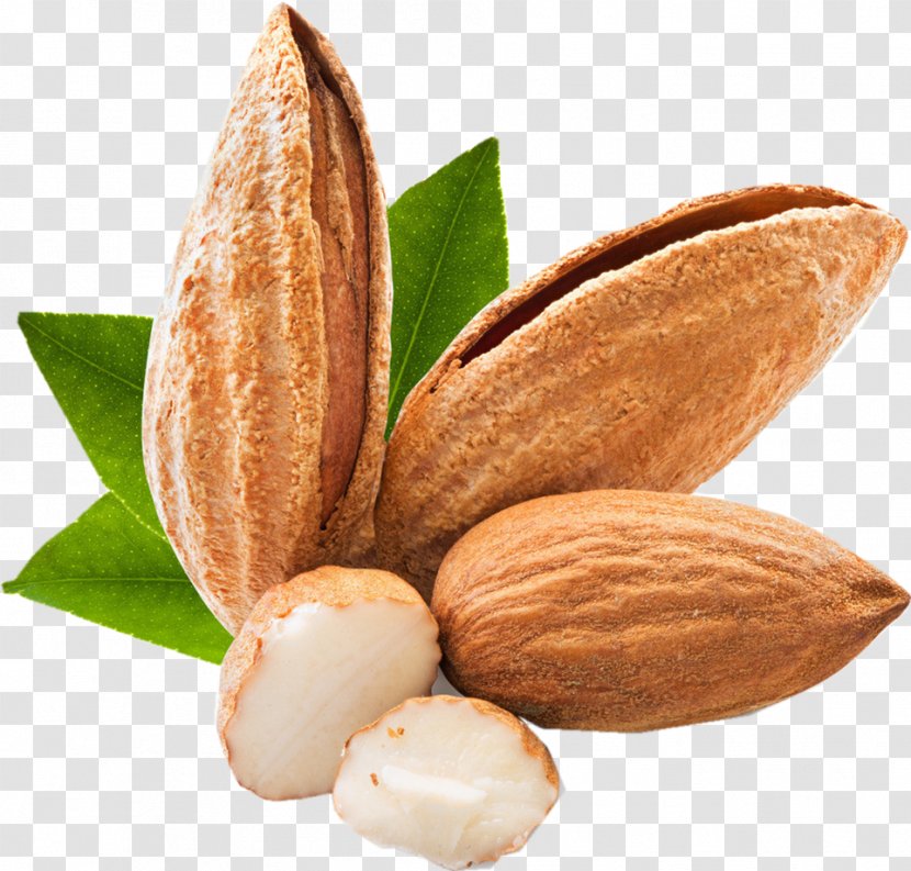 Almond Apricot Kernel Beard Nut Food - Seed Transparent PNG