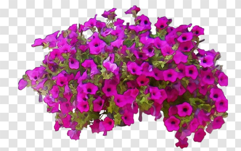 Flower Plant Magenta Pink Purple - Wet Ink - Bougainvillea Cut Flowers Transparent PNG